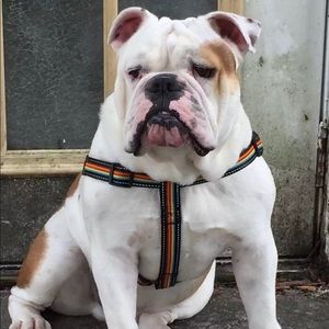 Meet your Posher, Karen